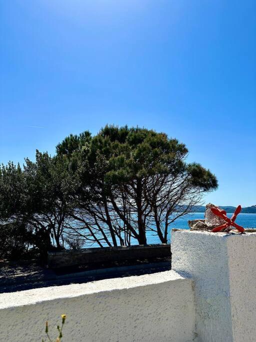Villetta La Conchiglia Λα Μανταλένα Εξωτερικό φωτογραφία