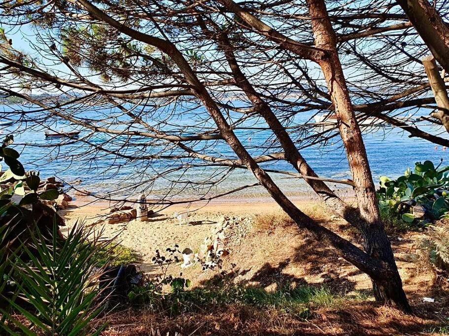 Villetta La Conchiglia Λα Μανταλένα Εξωτερικό φωτογραφία